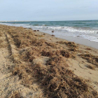 La arena acumulada junto en el muro del paseo marítimo es trasladada a los lugares más erosionados.