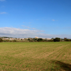 Un sembrado de la Plana del Vinyet, en Tarragona, con la villa de Altafulla al fondo.
