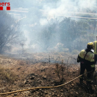 Cremen uns 2100 metres quadrats de matolls a l'Horta del Pimpí