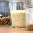 Insectos y harina elaborada a través de su tratamiento a la sede de Becrit