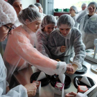 Taller sobre procesos alimentarios durante el Girls' Day 2020, una de las actividades que se organizan en la Escuela Técnica de Ingeniería Química de la URV.