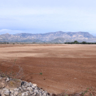 Plano general de los terrenos donde se proyecta la planta de compostaje en el término municipal de Santa Bàrbara.