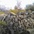 Imagen de un margen con piedra seca en la Anella Verda.