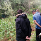 En Vila-rodona, los Mossos detuvieron a dos hombres, responsables de la plantación de marihuana.