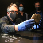 El conservador Antoni Palomo coloca la placa de piedra de finales del Paleolítico Superior descubierta recientemente.
