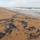 Imatge de la platja de Calafell plena de meduses.