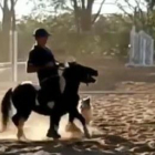 Captura de imagen del vídeo donde aparece al jinete con el poney.