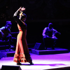Plano general de una bailaora en la Gran Gala Flamenco.