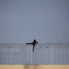 Un menor inmigrante no acompañado intenta saltar una valla, en Ceuta.