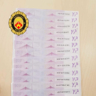 Imatge dels bitllets falsificats que duien els detinguts.