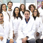 El trabajo lo dirige el investigador del Vall de Hebrón Instituto de Oncología (VHIO) Joaquín Arribas.