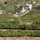 Imagen de archivo de la finca de Mas Alsera, en Torroja del Priorat, al inicio de la vendimia.