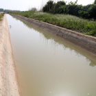 Uno de los canales del hemidelta derecho que lleva el agua hasta los arrozales.