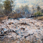 Imagen del terreno quemado.