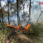 Estabilizan un incendio forestal en Móra la Nova