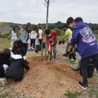 Un grup d'alumnes plantant un arbre.