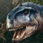 Una recreació artística del dinosauri 'Llukalkan aliocranianus'.