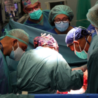 Professionals de Vall d'Hebron realitzant el trasplantament de pulmons.