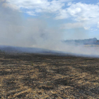 Extinguen un incendio de 5,5 hectáreas en un campo de cereal en Alió