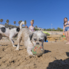Imatge de l'espai per a gossos habilitat a la platja del Miracle.