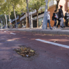 Estas barreras arquitectónicas suponen un peligro.