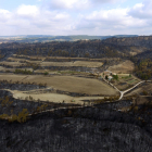 Plan|Plano aéreo de zonas forestales y agrícolas afectadas por el incendio de la Conca de Barberà y Anoia.