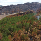El pequeño resurgimiento|avivamiento del incendio de la Conca de Barberà y Anoia en la zona del río Boix