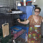 Imagen de Güell en la casita|caseta donde tienen las jaulas de gatos una sobre la otra por falta de espacio.