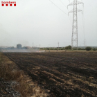 Treballen per extingir un incendi de vegetació agrícola a Constantí