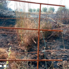 Punto donde se ha iniciado el incendio agrícola de Vilafant, provocado por los trabajos con una sierra radial.