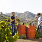 Los vinos de calidad son uno de los alicientes del Campo de Tarragona.