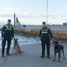 Imatge de dos agents amb dos gossos.
