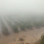 Captura del vídeo de la tempesta, que afecta a una zona de vinyes.