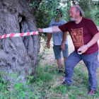 Manel Mas, de Salvem lo Montsià, i el productor Jordi Querol, després de marcar una olivera monumental en una finca d'Ulldecona.