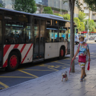 Una senyora passeja el seu gos pel centre de Tarragona mentre passa un autobús.