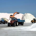 Plano general de las máquinas y los tractores trabajando en la recogida de la sal en las salinas de la Trinitat.