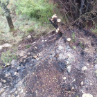 Activadas dos dotaciones terrestres y una aérea para extinguir un incendio en Corbera d'Ebre