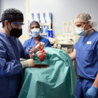 L'equip quirúrgic de la Facultat amb el cor de porc modificat trasplantat genèticament.