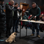 Un grupo de civiles aprende a utilizar armas en una sesión de entrenamiento en un cine en Lviv.