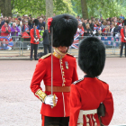 El soldat pertany al regiments dels Coldstream Guards.