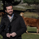 El líder del PP, Pablo Casado, a una granja de Las Navas del Marqués