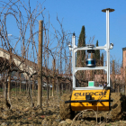 Un robot de un proyecto de Eurecat recorre el viñedo para captar datos destinados a aplicar inteligencia artificial al cultivo.