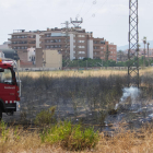 Imatge d'arxiu d'un incendi en un solar sense manteniment.