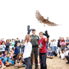 Imagen de la liberación de aves.