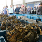 Cajas de cangrejo azul preparadas para la subasta de pescado en la Ràpita.