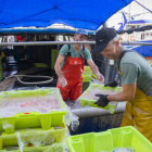 La gamba i l'escamarlà són dos dels pocs productes del mar que conserven un bon preu de mercat.
