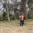 Los trabajos de limpieza y mantenimiento forestales han comenzado en la zona de los Monnars.