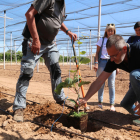 Dos campesinos plantan un kiwi en Benissanet Data de publicación: jueves 02 de junio del 2022, 13:40 Localización: Benissanet Autor: Anna Ferràs / Eloi Tost