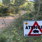 Un cartell que alerta d'una batuda de senglar en una zona boscosa del parc natural del Montgrí.