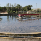 Imatge d'arxiu d'una de les piscines de les instal·lacions d'Aigües de Reus.
